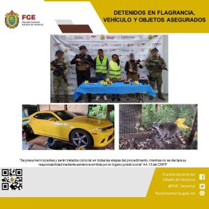 DOS PERSONAS DETENIDAS, VEHÍCULO Y OBJETOS ASEGURADOS EN OPERATIVO DE CATEO CON FUERZAS FEDERALES EN HATUSCO.