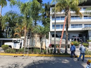 AYUNTAMIENTO INICIA JORNADAS DE CHAPEO, PODA YLIMPIEZA EN DIFERENTES PUNTOS DEL MUNICIPIO.