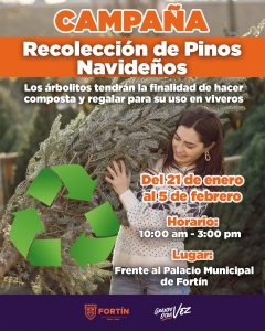 Inicia campaña de acopio de pinos navideños