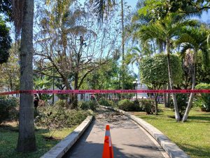 Se iluminan los parques centrales de Fortín
