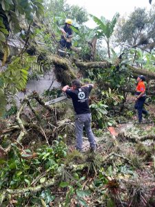 Protección Civil atiende reportes por evento de norte, en Fortín