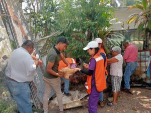 Ayuntamiento de Córdoba fortalece campaña de vacunación avícola en comunidades de riesgo