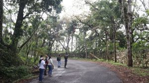 Fortín apuesta por el avistamiento de aves. Como motor económico y ambiental