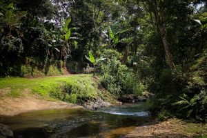 Córdoba fortalece su promoción turística con participación en el Tianguis Turístico de México 2026