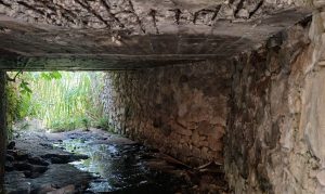 Anuncia Fortín rehabilitación de puentes, en Santa Leticia