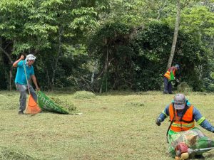 Jornada de limpieza de áreas verdes en Villa de las Flores