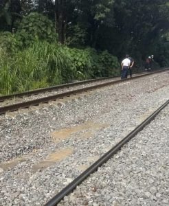 Muere arrollado por el ferrocarril.