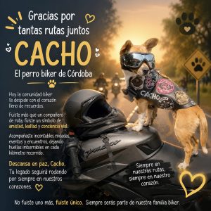 🐶🐕Luto en la comunidad biker de Córdoba: fallece “Cacho”, el perro que acompañó cientos de rodadas🥹