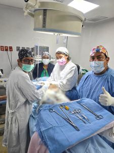 DIF FORTÍN CAMBIA LA VIDA DE 15 PERSONAS CON JORNADA DE CIRUGÍAS GRATUITAS.