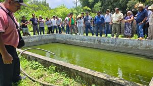 Fortín impulsa la acuicultura como alternativa de desarrollo para productores
