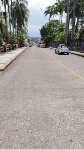 Personal de Parques y Jardines  Limpia acceso a la cabecera municipal