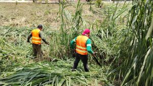 Limpia Parques y Jardines, fraccionamiento La Victoria y Los Tulipanes