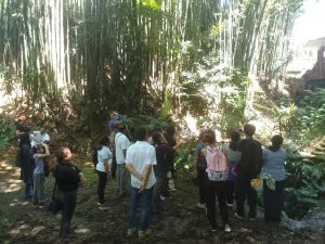 PAU Fortín conmemora el Día Mundial del Medio Ambiente