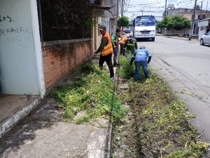 Intensifican labores de limpieza y poda en Fortín