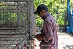 Inicia la rehabilitación del Centro de Salud Animal de Córdoba para ofrecer un espacio digno y seguro