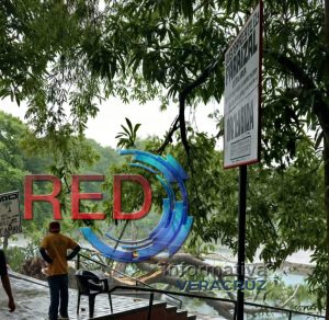 Turista pierde la vida tras desplome de árbol en balneario.