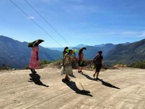 CARTA DEL PUEBLO DE MIXTLA DE ALTAMIRANO Y LA SIERRA DE ZONGOLICA A CELIA GARCÍA