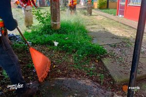 Amplían trabajos de limpieza de áreas verdes en Greco y Geo.
