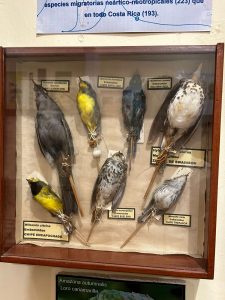 PAU Fortín refuerza lazos con la UNAM, en pro de la biodiversidad