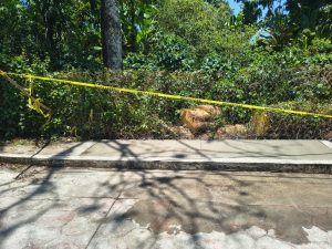 Reparan banqueta dañada por temporal lluvioso
