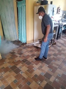 Fortín redobla esfuerzos en la fumigación de viviendas. Concluye en San José.