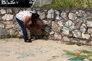 Inician rescate de Parque de Skate para fortinenses